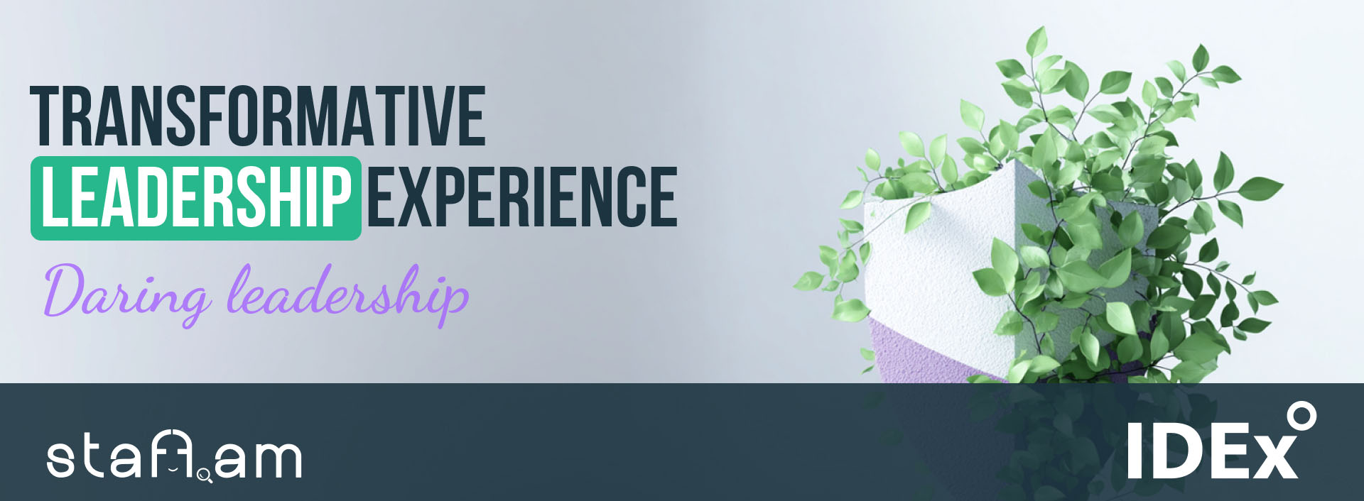 Transformative Leadership Experience Vol 3 - Register Now